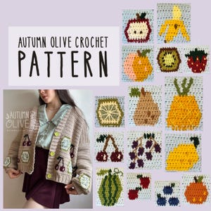 Crochet Pattern - apples to oranges cardigans - 15 different graphics, sweater pattern with buttons, pockets, size inclusive, customizable