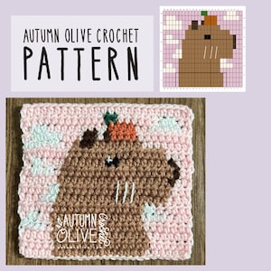 May include: A square crochet piece featuring a brown capybara with an orange pumpkin on its head against a light pink background with white clouds. The text Autumn Olive Crochet is visible. Includes a grid-based pattern chart for the design.