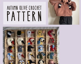 Crochet Pattern - Duck Duck Goose Cardigans 25 birds in 1 variety pack bundle; pocket and button up sweater— customizable and size inclusive
