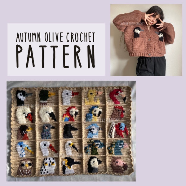 Crochet Pattern - Duck Duck Goose Cardigans 25 birds in 1 variety pack bundle; pocket and button up sweater— customizable and size inclusive