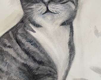 Tabby
