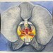 Owner of <a href='https://www.etsy.com/shop/OrchidRoseCo?ref=l2-about-shopname&from_page=listing' class='wt-text-link'>OrchidRoseCo</a>