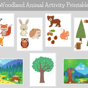 May include: A printable woodland animal activity sheet with images of a raccoon, fox, deer, rabbit, owl, hedgehog, bear, squirrel, acorns, pine cones, and trees. The sheet is perfect for kids to learn about woodland animals and their habitats.
