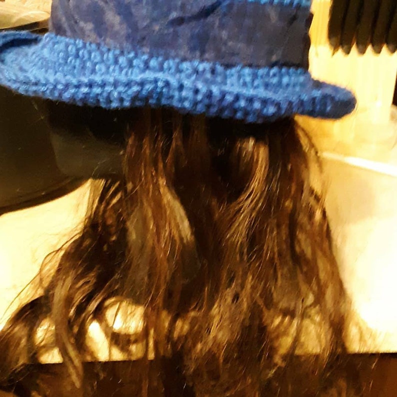 Blue Fedora with Extensions