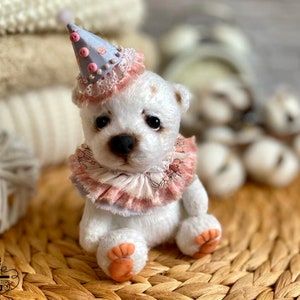 Peut inclure: Un petit ours en peluche blanc portant un col à volants rose et blanc et un chapeau de fête bleu et rose. L'ours est assis sur une surface en osier tressé.