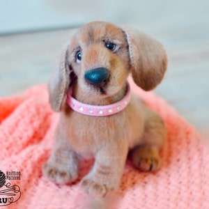May include: A brown and tan knitted dachshund puppy wearing a pink collar with rhinestones. The puppy is sitting on a pink knitted blanket.