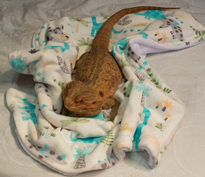 Bearded dragon Blanket. plush blanket. Etsy