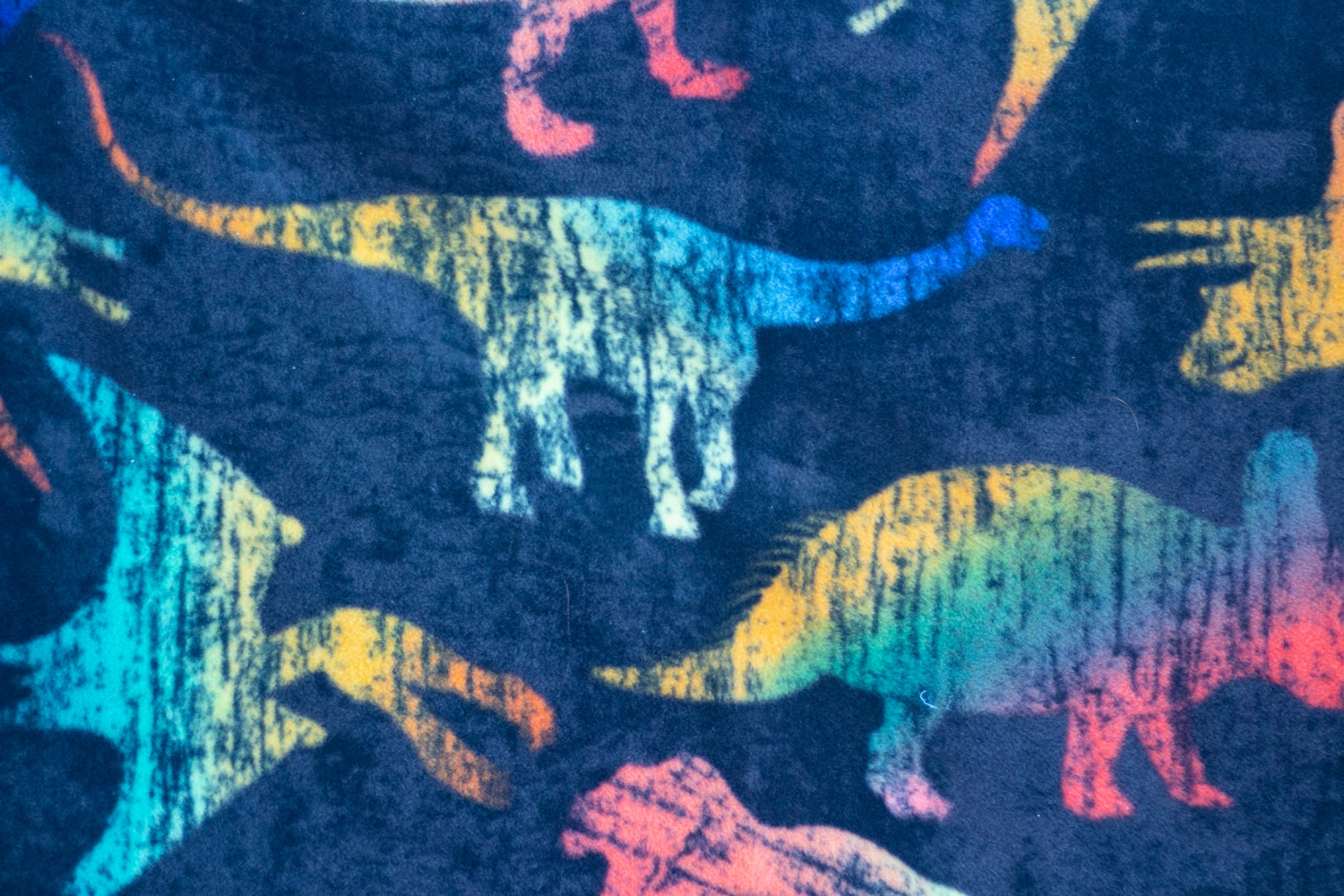 Iguana Blanket. Reptile blanket. Pet Blanket. Anti pill Fleece Etsy