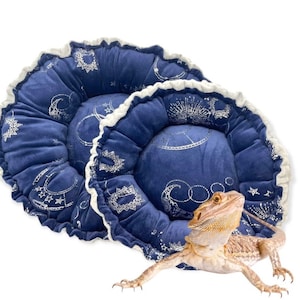 May include: Two blue velvet pet beds with a white lace trim and a silver celestial pattern. A bearded dragon lizard is sitting in front of the beds.