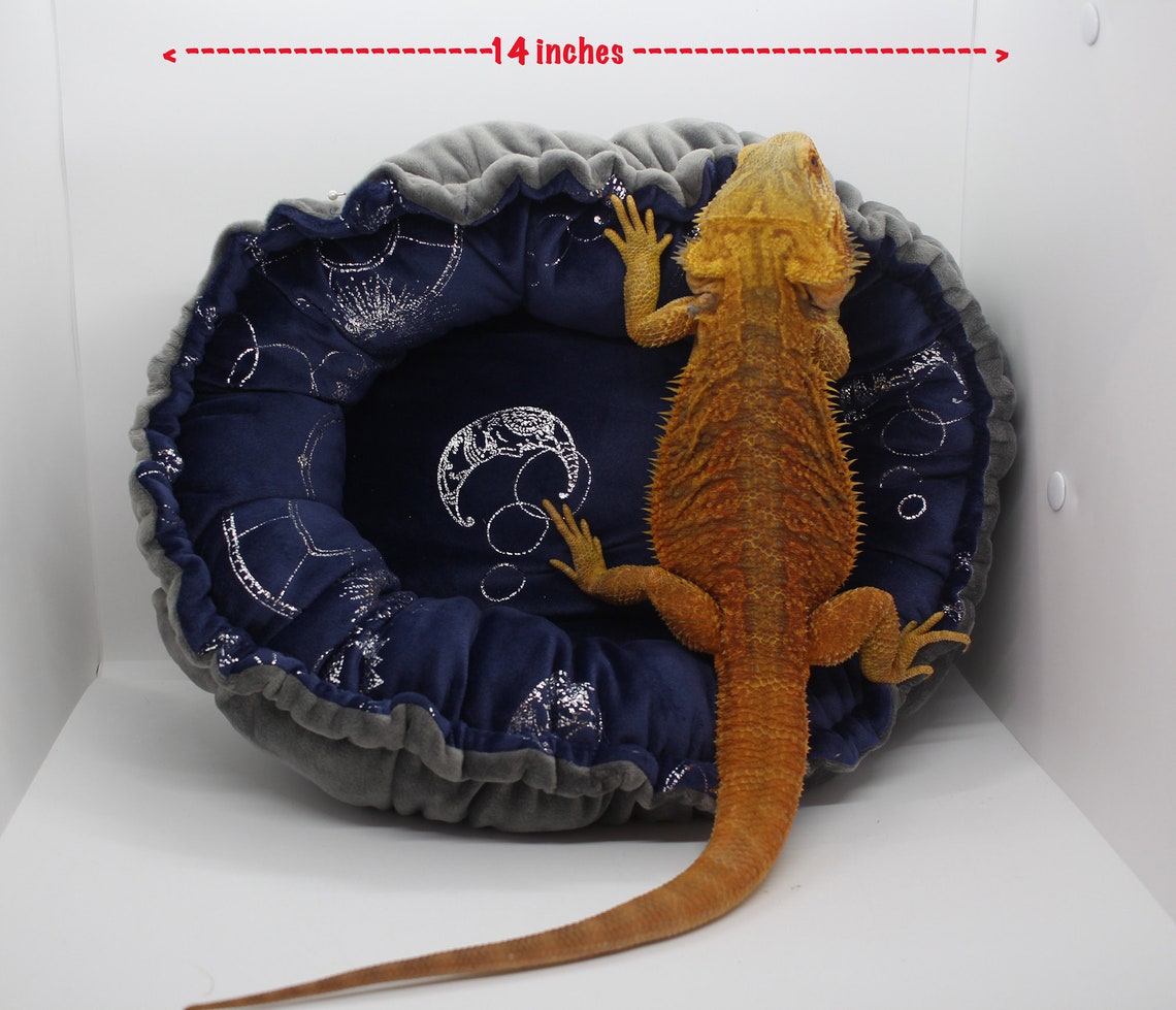 Bearded Dragon Plush cuddle bed. 2 | Etsy