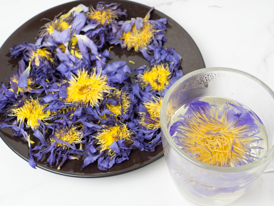 50g Blue Lotus Dried Flowers Tea Nymphaea caerulea100 Etsy