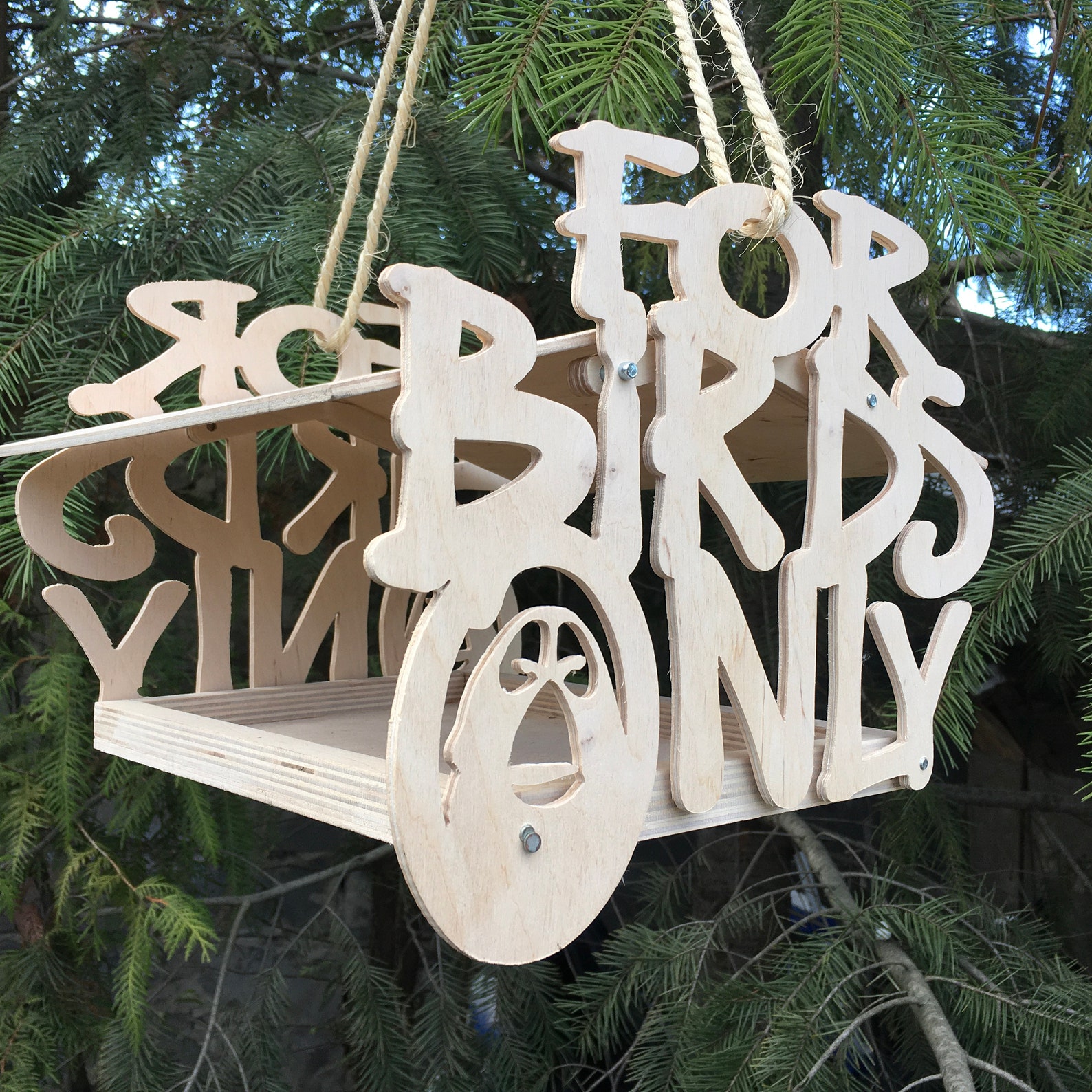 DIY Kits for Adults Bird Feeder Etsy