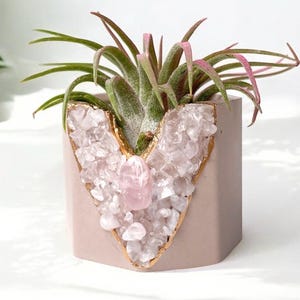 Rose Quartz Concrete Planter | Boho Gemstone Air Plant Holder | Pink Plant Pot