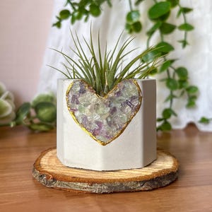 Fluorite crystals concrete planters, cute geode gift idea, air plant holder