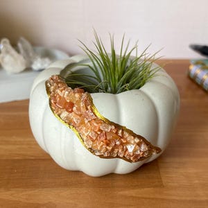 Concrete Pumpkin Planter | Sunstone Crystal Air Plant Holder