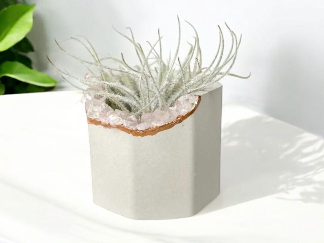 Minimalist Concrete Planter, Mini Crystal Plant Pot, Rose Quartz Air ...