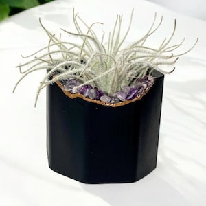 Black Minimalist air plant holder, concrete planter with amethyst crystals, Halloween and Fall plant pot