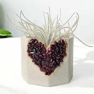 Cement geode planter with garnet crystals, mini birthstone plant pot, cute air plant holder