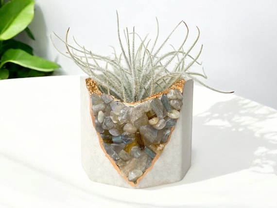 Labradorite crystals embedded in a handmade concrete air plant holder — the mineral-meets-brutalist mashup is genuinely unexpected and one-of-a-kind.