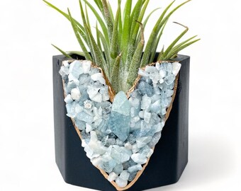 Aquamarine mini plant pot, Stylish Concrete planter for air plants/succulents decor