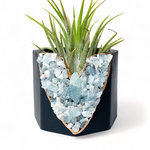 Aquamarine mini plant pot, Stylish Concrete planter for air plants/succulents decor