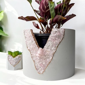 May include: A gray concrete planter with a V-shaped inlay of pink crystals, holding a plant with burgundy and green leaves. A smaller, heart-shaped planter with a gold trim and a succulent is also visible.
