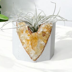 Citrine Geode Concrete Planter, Crystal Air Plant Holder, November Birthstone Planter