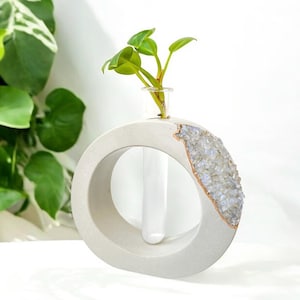 Opal Propagation Station, Plant Rootings station, desk test tube holder for plants, plant cuttings holder