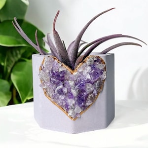 Amethyst heart concrete plant pot, Purple air plant holder, concrete planter, Crystal Birthstone Gift