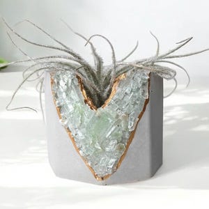 May include: A gray, heart-shaped planter with a gold-colored trim, filled with a small air plant. The heart is filled with clear, textured glass pieces. The planter is a modern, decorative item.