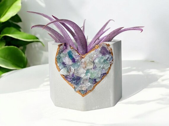 Fluorite crystals concrete planters, cute geode gift idea, air plant holder