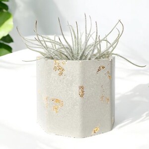 Handmade Concrete Planter with Gold Flakes | Minimalist Air Plant Pot