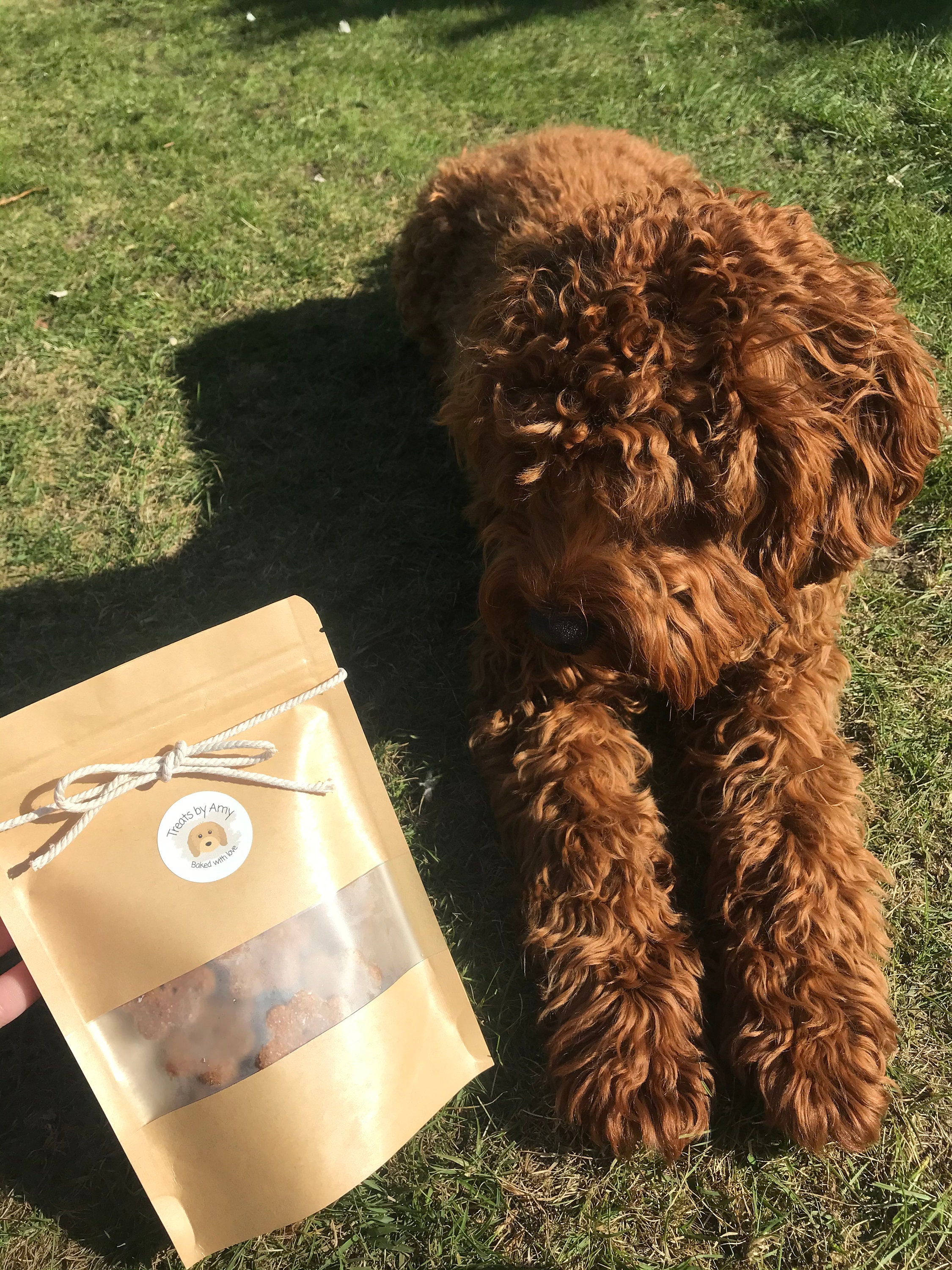 dog paint canvas peanut butter dog paint canvas peanut butter