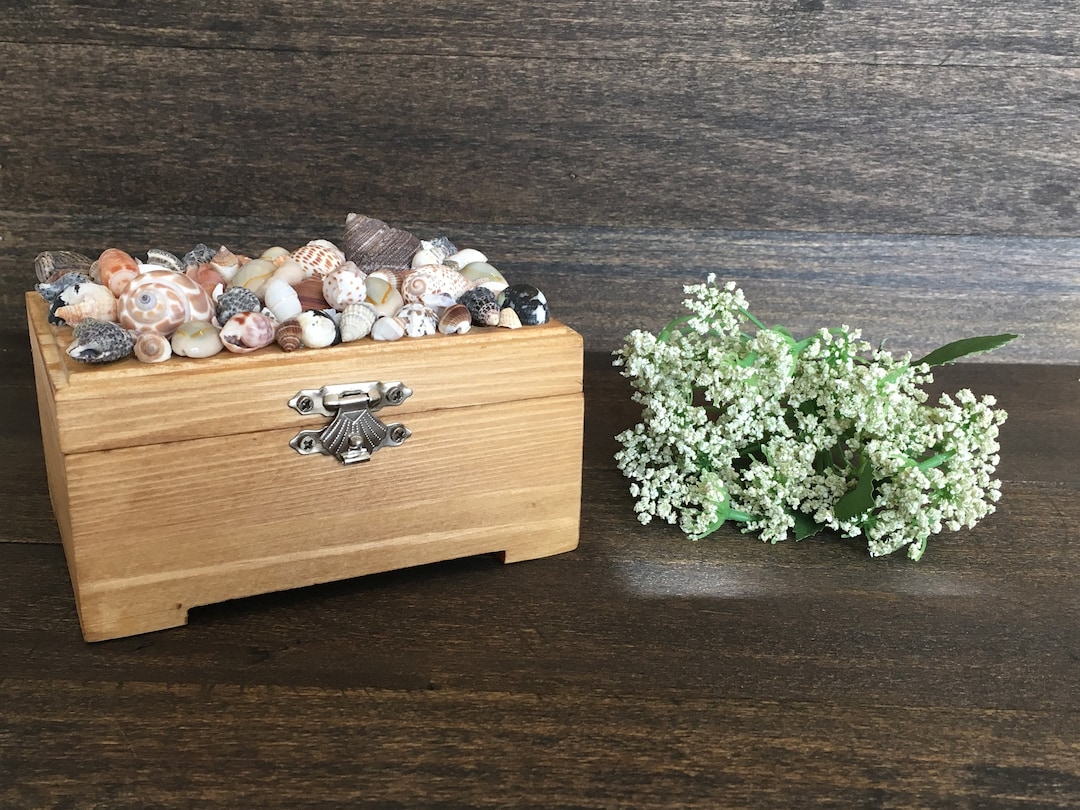 Shell Box Mini Shell Box - Etsy