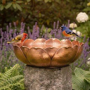 Peut inclure: Un bain d'oiseaux en cuivre martelé en forme de fleur de lotus ouverte, doté d'un large bord festonné. Deux petits oiseaux, l'un avec une face rouge et l'autre avec une tête bleue et une poitrine orange, sont posés sur le bord du bassin.