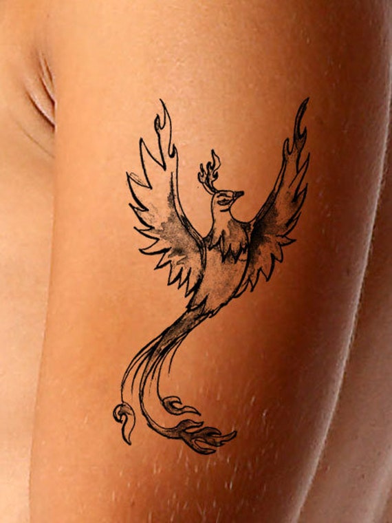 Buy Phoenix Tattoo Tattoo Design Bird Tattoo Tattoo Drawing Online in India - Etsy Buy Phoenix Tattoo Tattoo Design Bird Tattoo Tattoo Drawing Online in India - Etsy