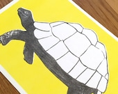Postkarte Illustration A6 Tiermotiv Schildkröte im Format A6 - umweltbewusster Riso Print (Risografie, handgefertigt)