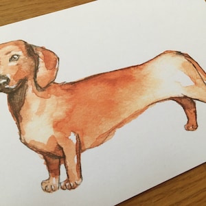 Dackel Hund Postkarte - Format A6 - Grußkarte Illustration
