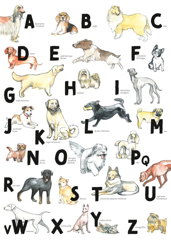 dog breeds a to z