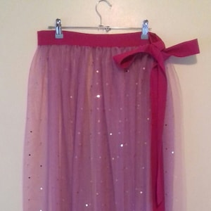 Può includere: Una lunga gonna di tulle rosa con un nastro di raso rosa da annodare. La gonna è decorata con piccole paillettes argentate.
