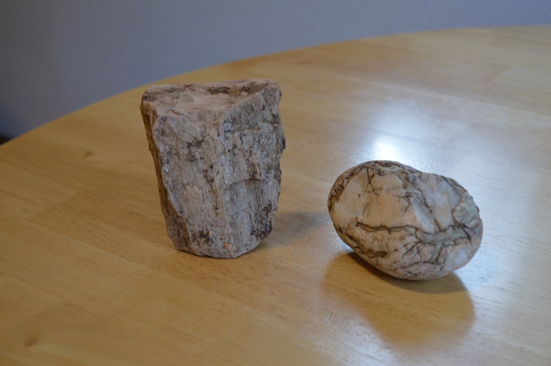 2 Petrified Wood Pieces---Natural Raw Petrified Wood---Crafts /& Jewelry Making---Rock Collecting---Petrified Wood---Rocks
