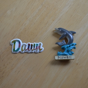 May include: A white, 3D, colorful, cursive word "Dawn" and a gray dolphin figurine jumping out of blue water with the word "Hawaii" on a beige base.