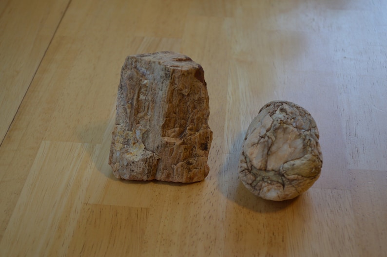 2 Petrified Wood Pieces---Natural Raw Petrified Wood---Crafts /& Jewelry Making---Rock Collecting---Petrified Wood---Rocks