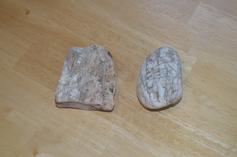 2 Petrified Wood Pieces---Natural Raw Petrified Wood---Crafts /& Jewelry Making---Rock Collecting---Petrified Wood---Rocks