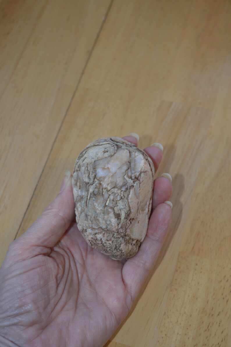 2 Petrified Wood Pieces---Natural Raw Petrified Wood---Crafts /& Jewelry Making---Rock Collecting---Petrified Wood---Rocks