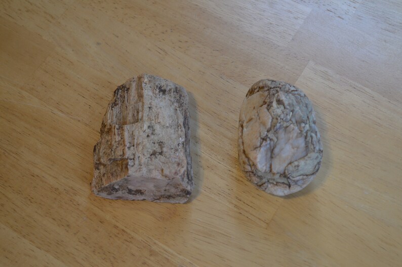 2 Petrified Wood Pieces---Natural Raw Petrified Wood---Crafts /& Jewelry Making---Rock Collecting---Petrified Wood---Rocks