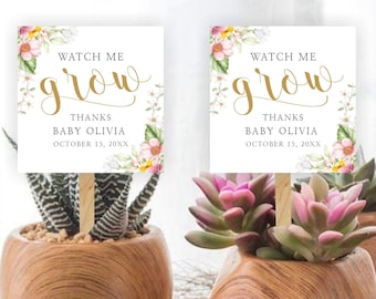 Mírame crecer etiqueta, etiqueta suculenta baby shower, etiqueta de favor de planta, etiqueta de regalo, etiqueta de agradecimiento de ducha, favor de baby shower, etiqueta de suculentas, ALLISON