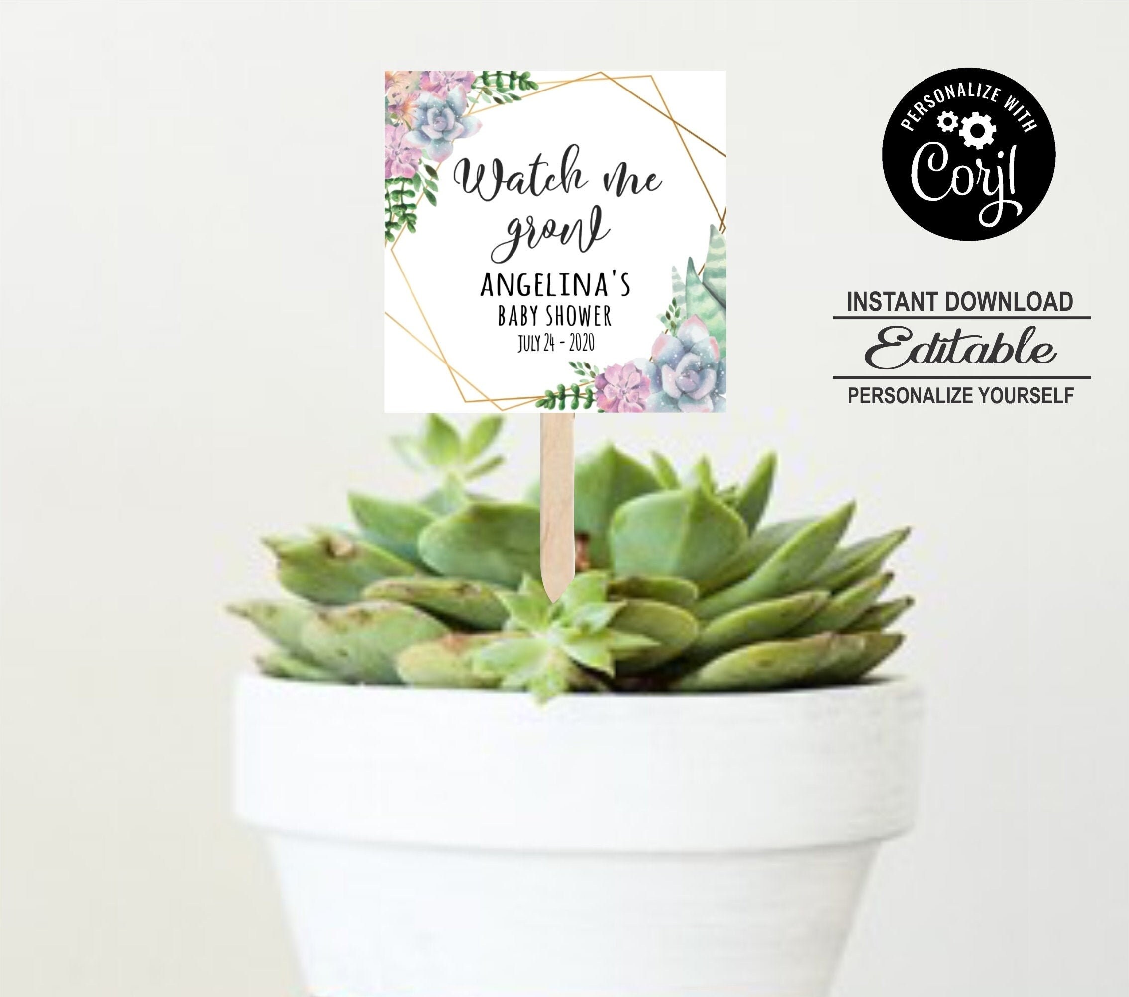 Watch Me Grow Tags Succulent Favor Tags Baby Shower Favor | Etsy