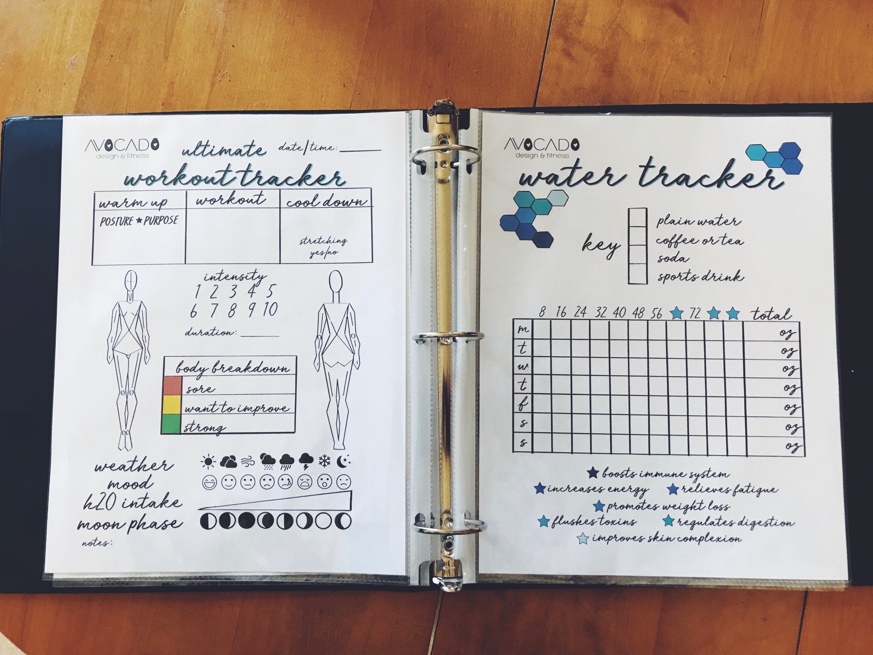 Healthy Lifestyle Tracker Template Set Digital Download Etsy