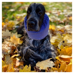 Blue cotton snood - Snoods for long-eared dogs - Ear protector - Dog snood - Dog ear cover - Cocker snood - Spaniel snood